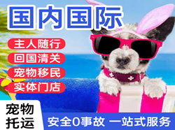 大同机场货运国际宠物托运 【国